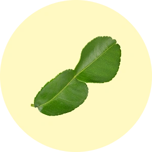 Photo icon of Kaffir Lime Leaves