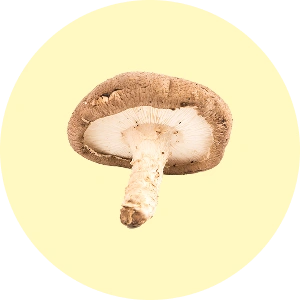 Photo icon of Shiitake Mushroom